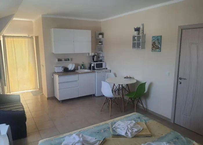 Ivelin 아파트 로제넷츠