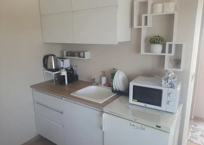 Ivelin * 로제넷츠