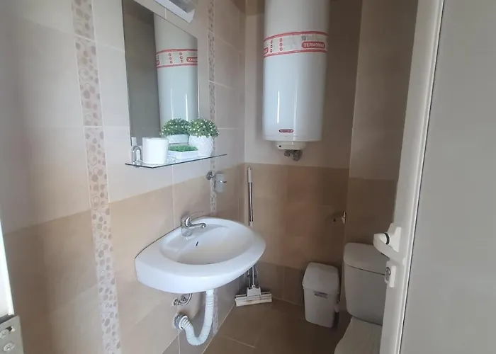 Ivelin * 로제넷츠